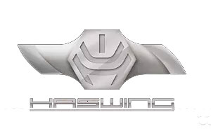 logo haswing