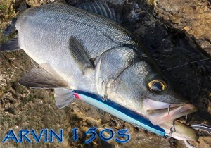 ARVIN-2