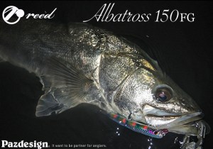 Albatros-6