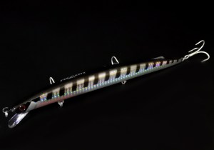 BIGBARRA-BARRACUDA