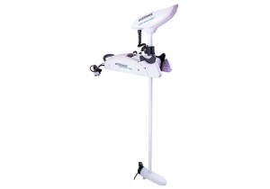 BP90163827-white