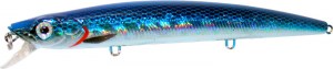 EG-031_1.jpg