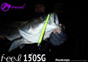FEEL-150-SG-1