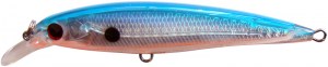 Fortuna-FS91_2.jpg