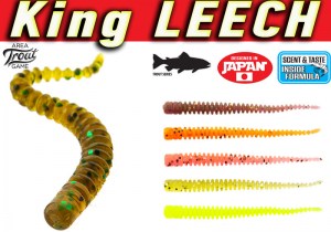 King-Leech-Open