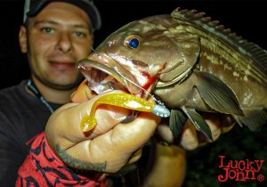LJ-MINNOW-OPEN-3