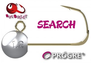 PROGRE-BUG-BULLET-2