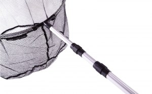 Rem-nets-I-850253_2.jpg