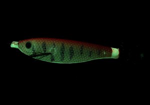 Ryuji-Toto-Squid-7cm-4