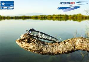 SNECON-2