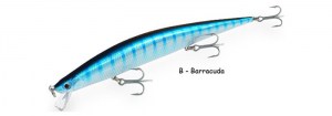 dtd-barracuda-barracuda