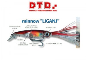 dtd-liganj