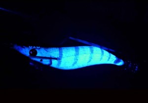 dtd-real-fish-4
