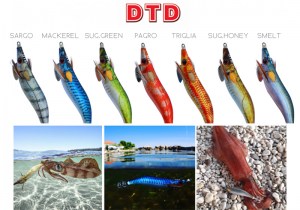dtd-real-fish-color-chart