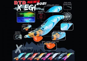 dtd-x-egi-color-chart