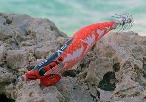 dtd-x-egi