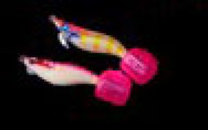 egi-cover-1089-1090_b