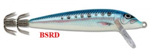 rap-squid-bsrd