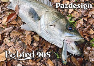 re-bird-90s-2