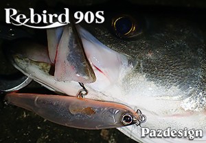 re-bird-90s-4