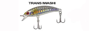 ryuji-baby-minnow-sinking-5cm-4.5gr-color-trans-iwashi