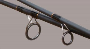 sks-carp_2.jpg