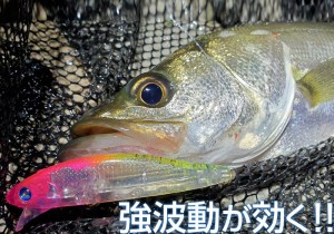 zepper08s_pr01