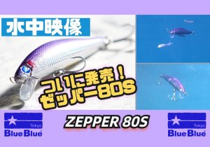 zepper